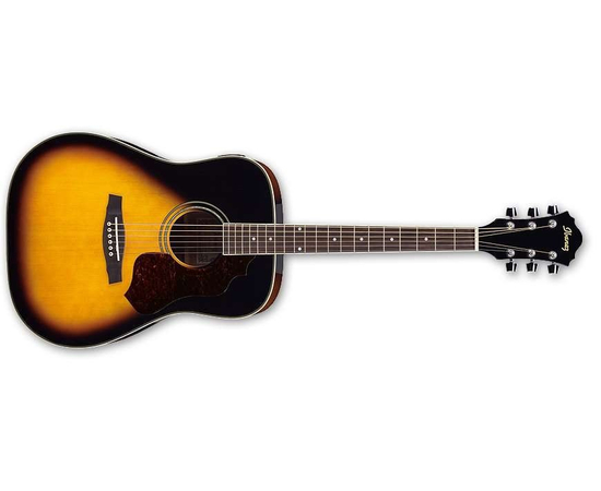 Акустическая гитара IBANEZ SGT120E VS - 71332 за 0 грн. | 4Club