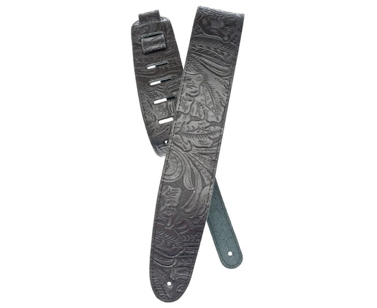 PLANET WAVES PW25LE00