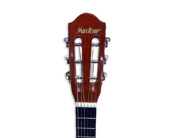 Акустическая гитара MAXTONE WGC360