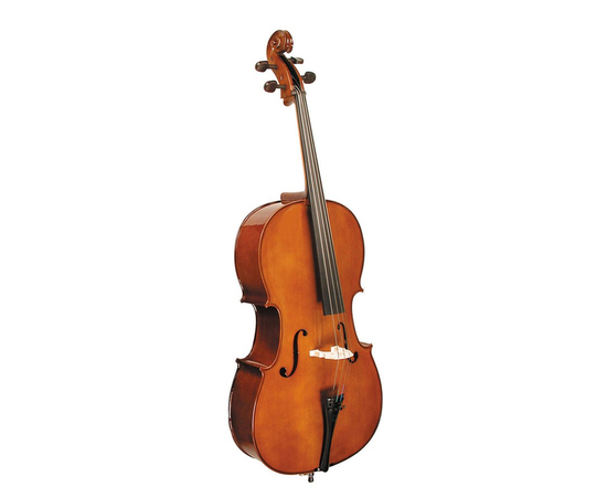 Виолончель STENTOR 1102/E STUDENT I CELLO OUTFIT 1/2 - 107460 за 22477 грн. | 4Club
