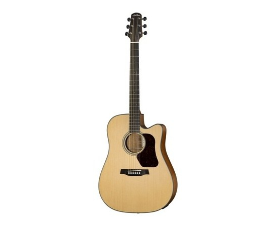 Акустическая гитара Walden D550/G - 107415 за 0 грн. | 4Club