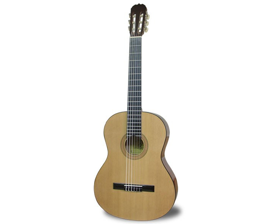 Классическая гитара MAXTONE CGC3906