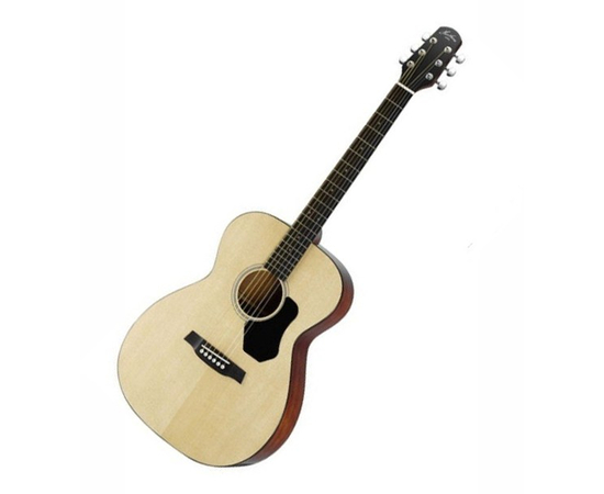 Акустическая гитара HAWTHORNE HO220/B - 107475 за 0 грн. | 4Club