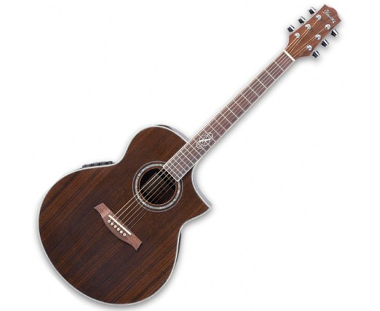 Электроакустическая гитара IBANEZ EW20WNE-NT - 107920 за 0 грн. | 4Club