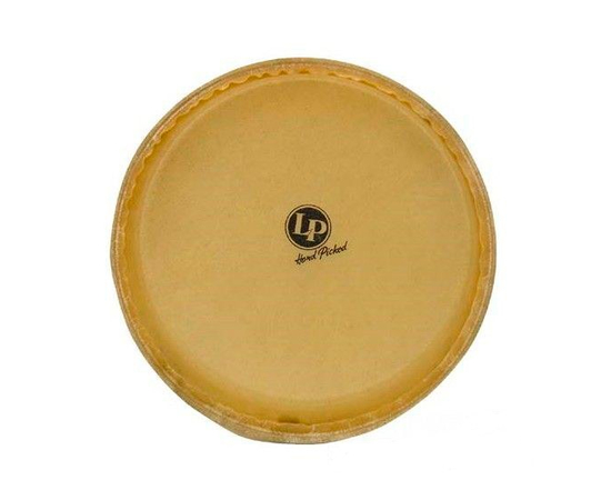 Пластик для Conga LP A640B 5550068538 - 108005 за 0 грн. | 4Club