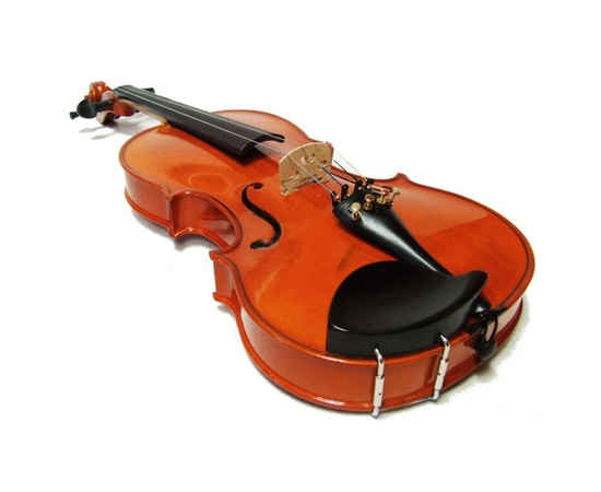 Скрипка Strunal 220w 1/4 - 107854 за 0 грн. | 4Club