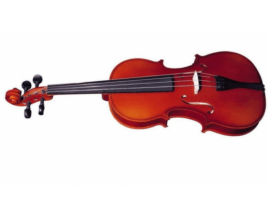 Скрипка Strunal 240 1/8 - 107860 за 0 грн. | 4Club