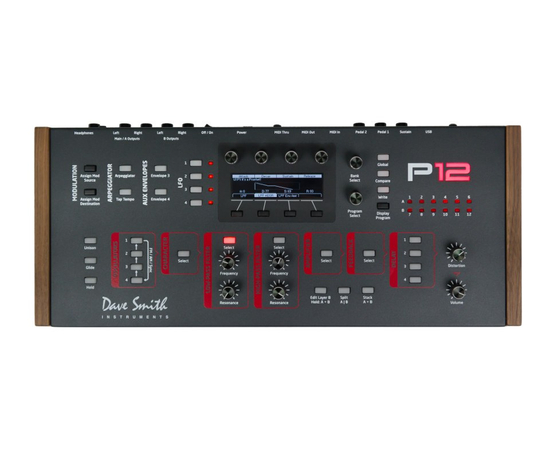 Полифонический синтезатор Dave Smith Instruments Prophet 12 Module - 108350 за 0 грн. | 4Club