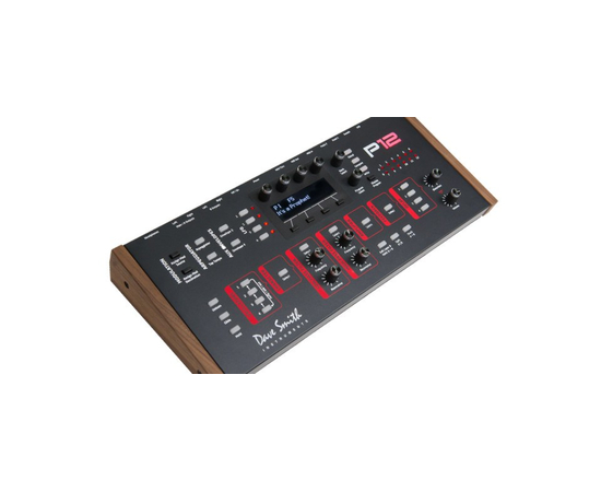Полифонический синтезатор Dave Smith Instruments Prophet 12 Module