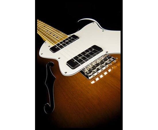 Электрогитара FENDER MODERN PLAYER TELE THINLINE DELUXE MN 3SB 0241202500