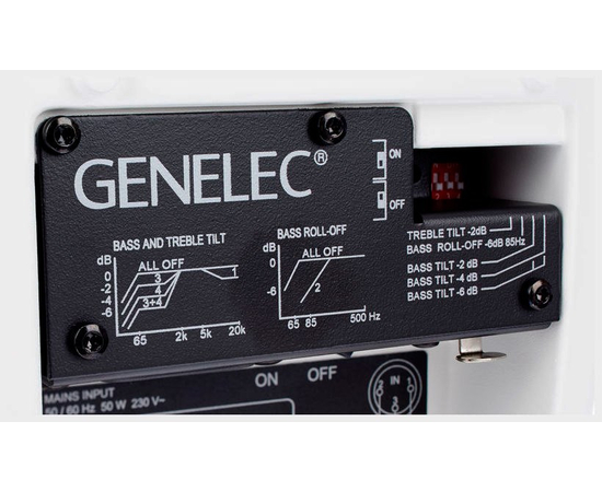 Активный двухполосный монитор GENELEC 8020CWM