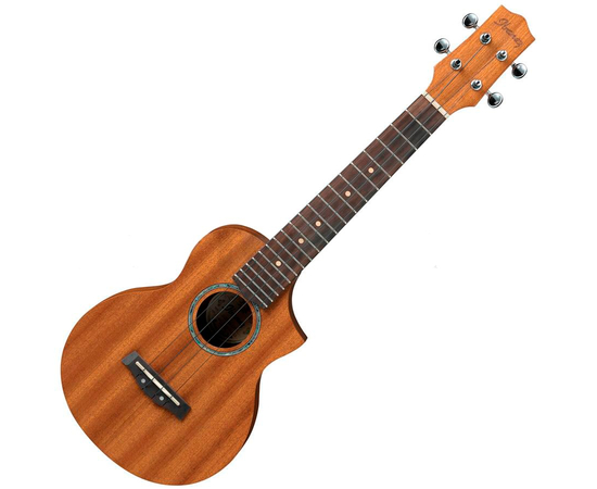Укулеле IBANEZ UEW5 - 109313 за 0 грн. | 4Club
