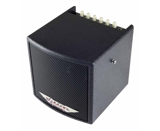 Акустический комбо ASHDOWN Cube 40-bk - 109535 за 21047 грн. | 4Club