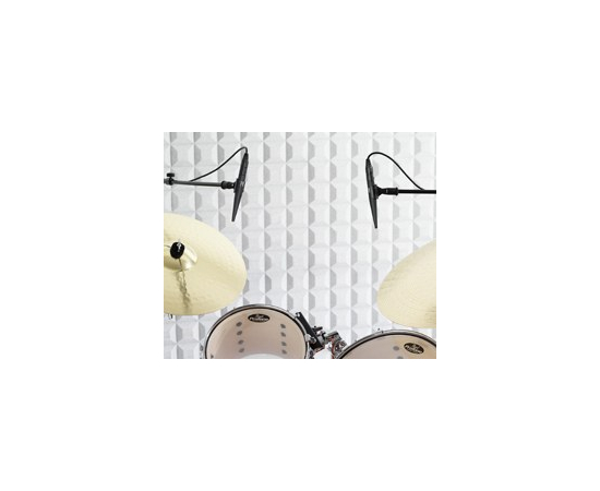 Микрофон DPA microphones 4091