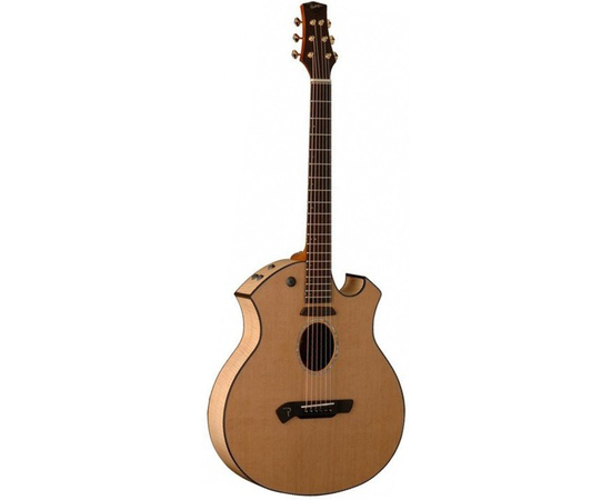 Электроакустическая гитара Parker P-8E EN-BK - 86374 за 70488 грн. | 4Club