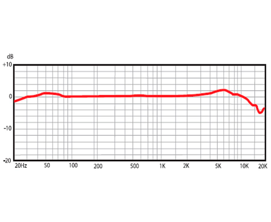 Микрофон SE ELECTRONICS SE X1R