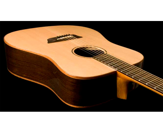 Акустическая гитара Washburn WD250 SW