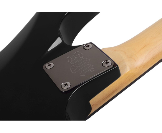 Электрогитара SCHECTER SGR C-1 BLK LH