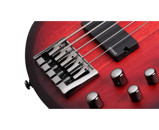 Бас-гитара SCHECTER C-5 CUSTOM TCS