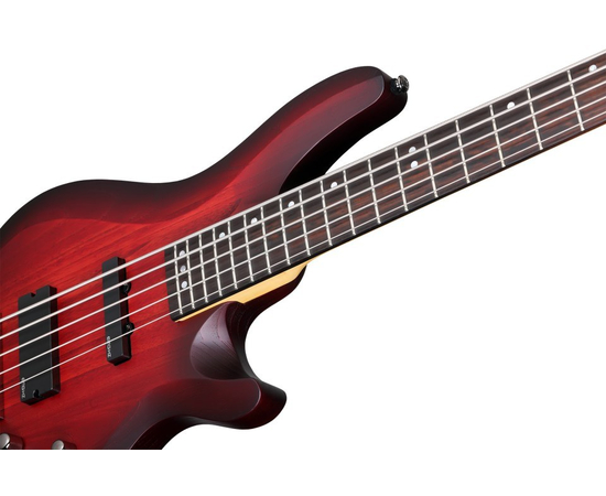 Бас-гитара SCHECTER C-5 CUSTOM TCS