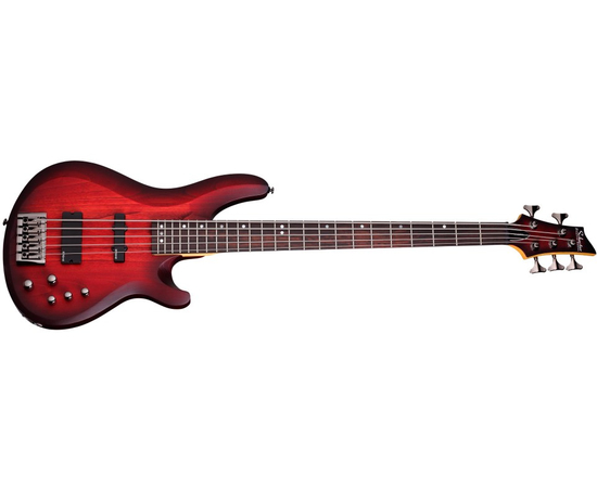 Бас-гитара SCHECTER C-5 CUSTOM TCS - 110426 за 35304 грн. | 4Club