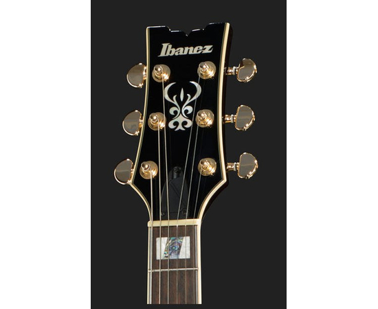 Электрогитара IBANEZ AR325 DBS