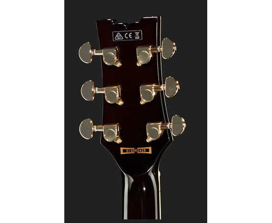 Электрогитара IBANEZ AR325 DBS