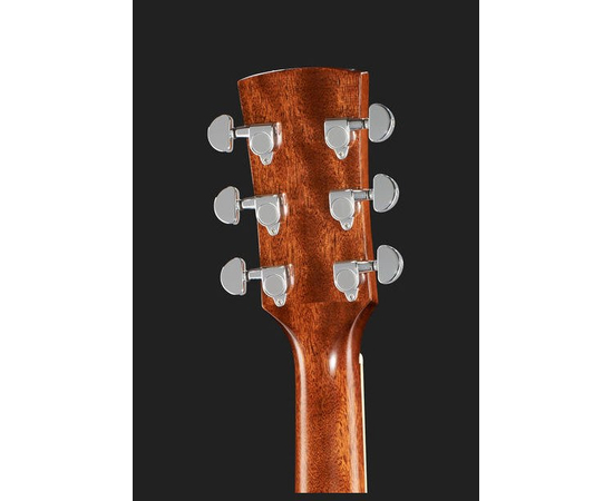 Акустическая гитара IBANEZ PF17 LG