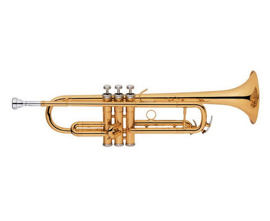 Труба Си бемоль MAXTONE TTC29L* - 110975 за 0 грн. | 4Club