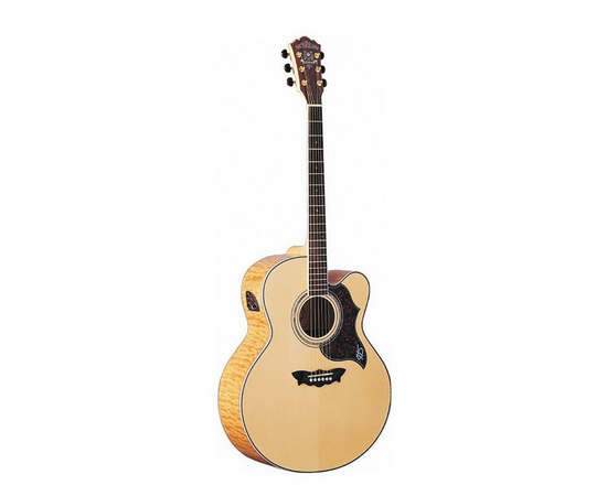 Электроакустическая гитара Washburn J28 SDLN - 80405 за 0 грн. | 4Club