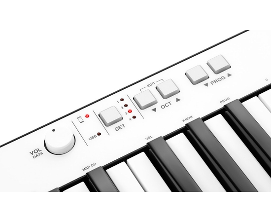 MIDI-клавиатура IK MULTIMEDIA iRIG KEYS PRO