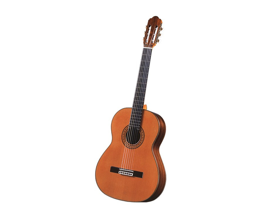Классическая гитара ANTONIO SANCHEZ 2500 - 111322 за 0 грн. | 4Club