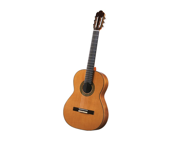 Классическая гитара ANTONIO SANCHEZ 1026 - 111324 за 0 грн. | 4Club