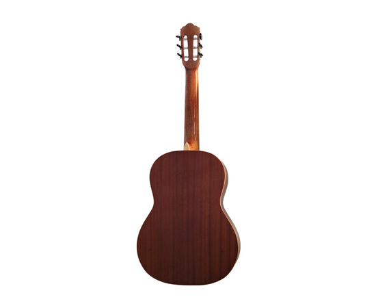 Классическая гитара Virginia СС-20