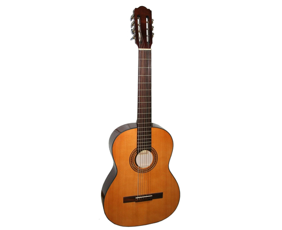 Гитара классическая HORA SPANISH 4/4 (№1010 / 7) - 112274 за 0 грн. | 4Club