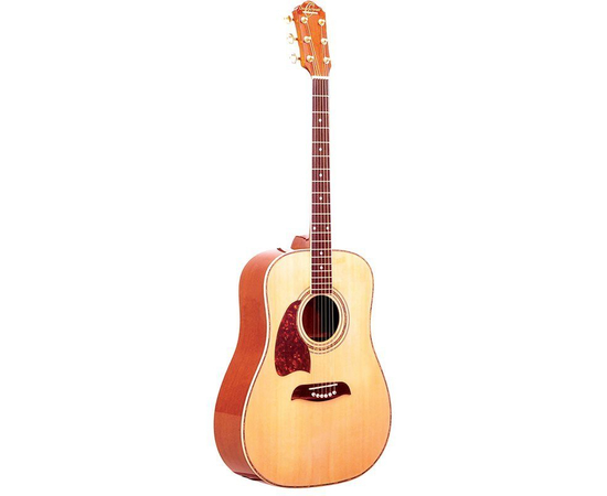 Акустическая гитара Washburn OG2NLH - 80018 за 0 грн. | 4Club