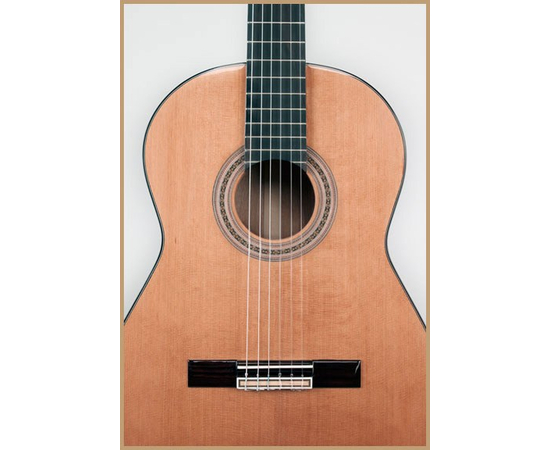 Классическая гитара AXL Francisco Domingo FG16