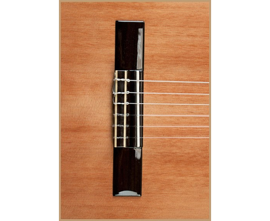 Классическая гитара AXL Francisco Domingo FG16