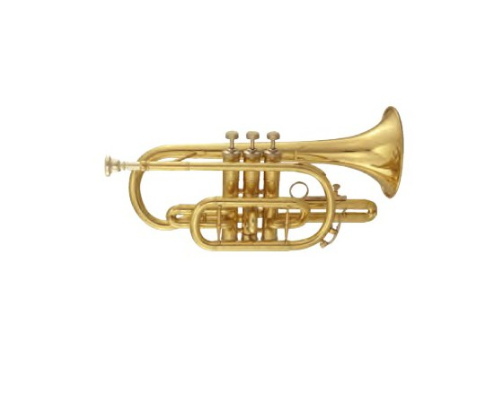 Корнет MAXTONE TCC53L - 113033 за 13914 грн. | 4Club