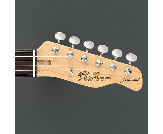 Электрогитара FUJIGEN JIL-AL-R/BK