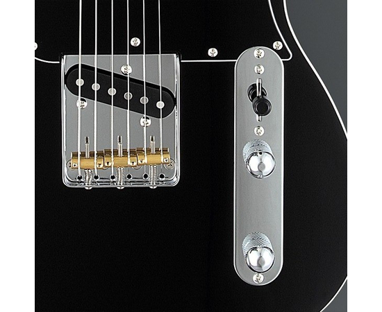 Электрогитара FUJIGEN JIL-AL-R/BK