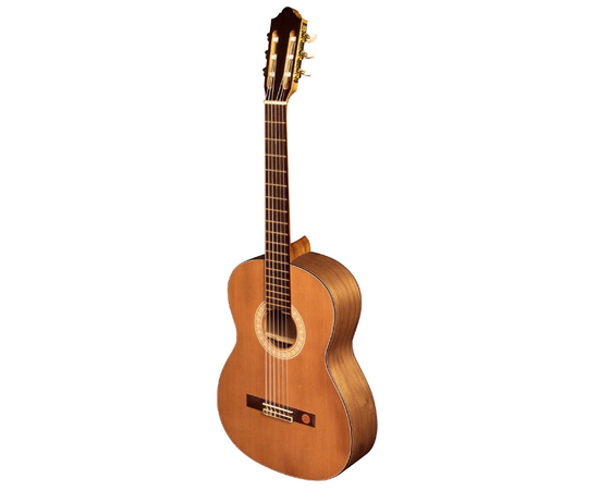 Классическая гитара STRUNAL 670 - 113523 за 0 грн. | 4Club