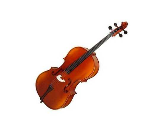 Виолончель STRUNAL 40/1Н 1/2 - 113508 за 0 грн. | 4Club