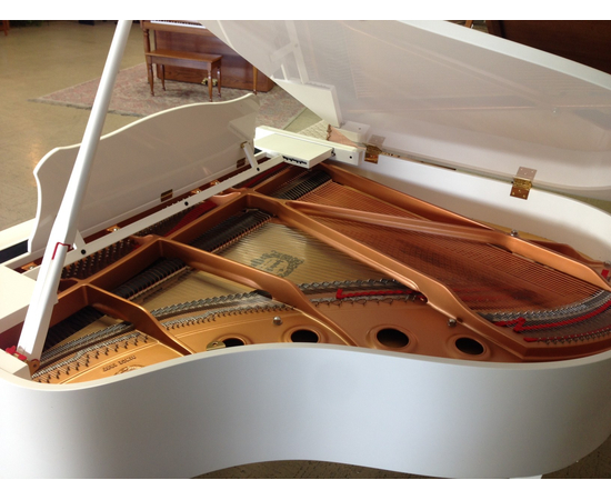 Дисклавир YAMAHA DGC1E PWH