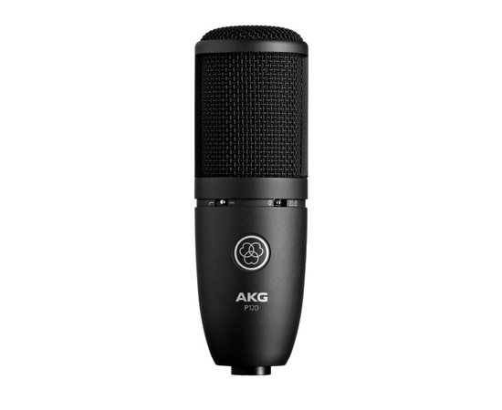 Студийный микрофон AKG P120 - 113303 за 6099 грн. | 4Club