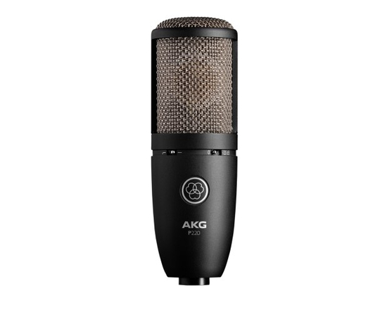 Студийный микрофон AKG P220 - 113304 за 9999 грн. | 4Club