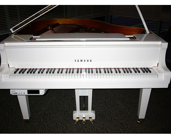 Дисклавир YAMAHA DGC1E PWH