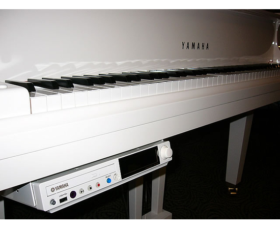 Дисклавир YAMAHA DGC1E PWH