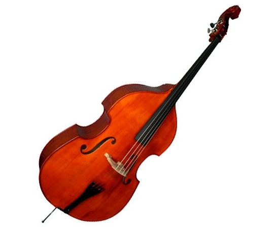 Контрабас STRUNAL 5/8D - 113517 за 0 грн. | 4Club