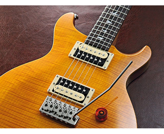 Электрогитара PRS SE SANTANA CSSY